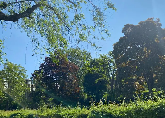 Maisons Alfort - Cosy Appartement